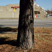 gal/Untitled (Project)/_thb_020.jpg